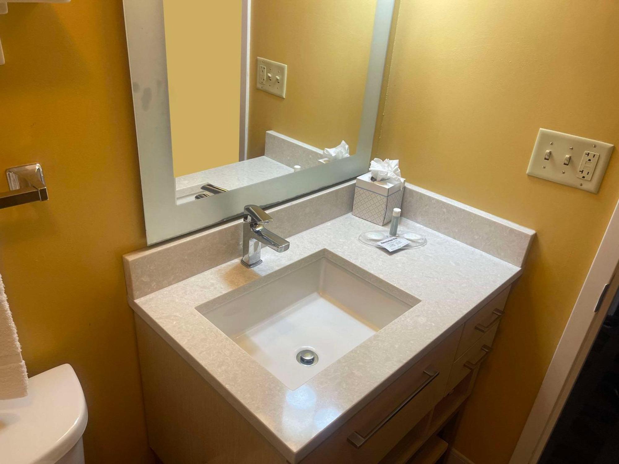 Mainstay Suites Tampa Moffitt-Usf Temple Terrace Kültér fotó
