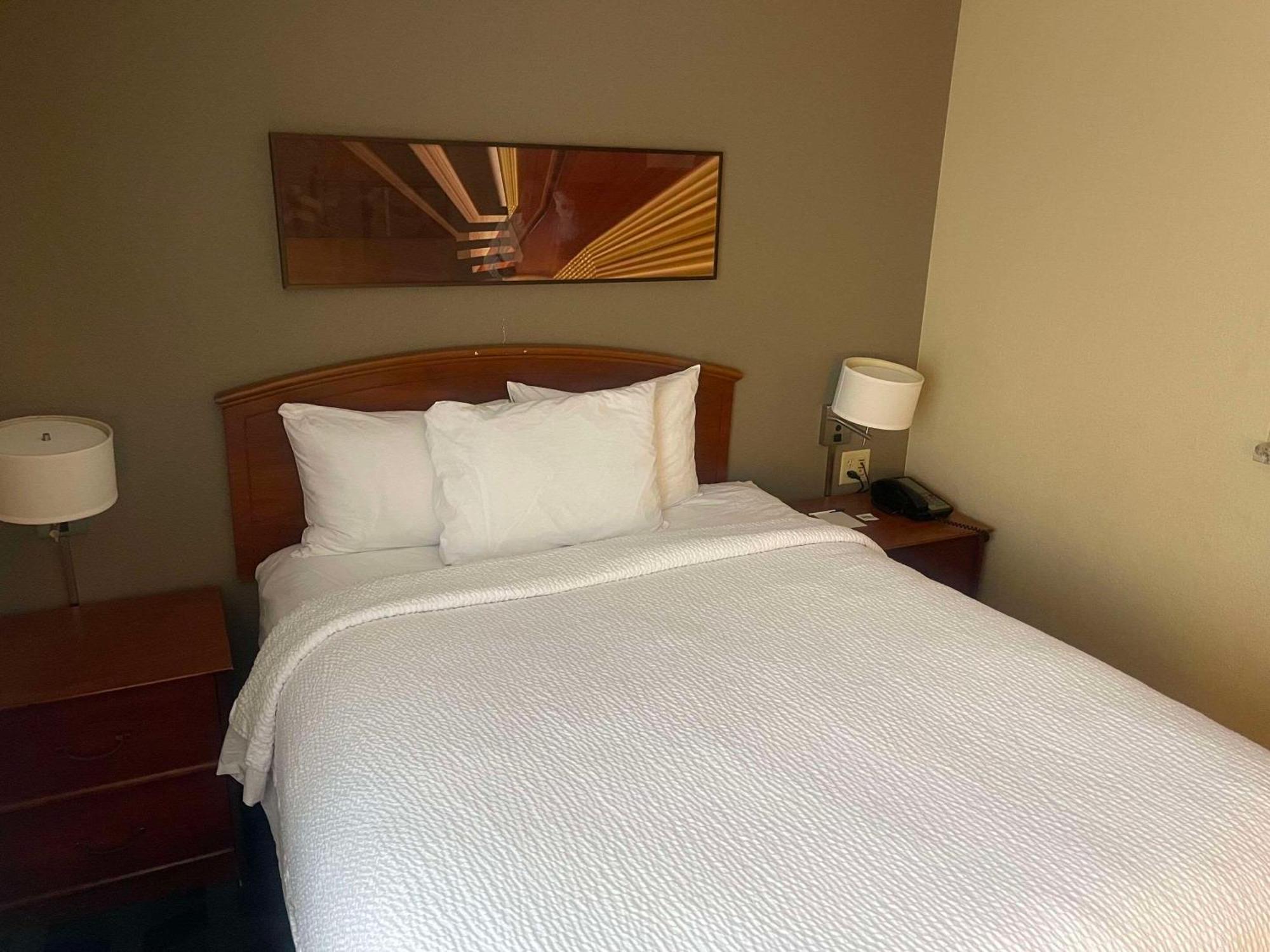 Mainstay Suites Tampa Moffitt-Usf Temple Terrace Kültér fotó