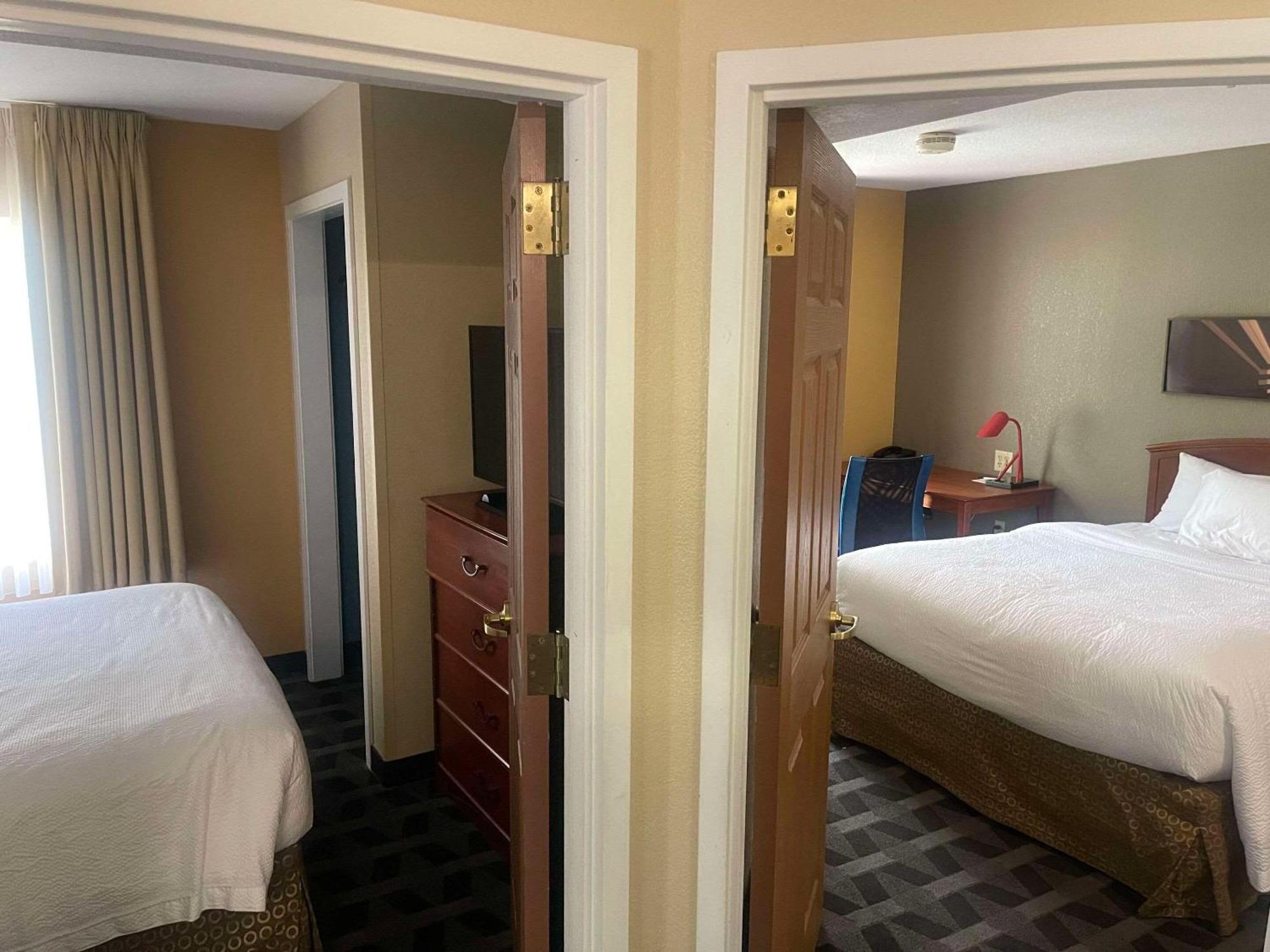 Mainstay Suites Tampa Moffitt-Usf Temple Terrace Kültér fotó